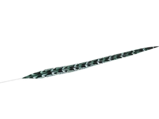 Φτερό Διακοσμητικό FTE227K6 80cm Green-Black Espiel Χαρτί