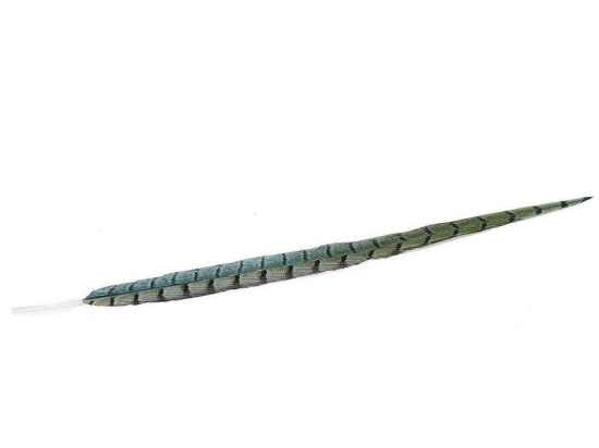 Φτερό Διακοσμητικό FTE232K6 90cm Green-Black Espiel Χαρτί