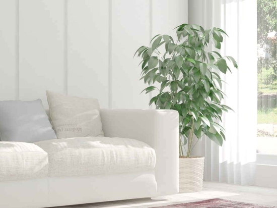Χαλί Vintage 8400 Ivory Arte Espina 200X290cm