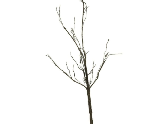 Τεχνητό Κλαδί 2831-7 4x120cm Black Supergreens Πολυέστερ