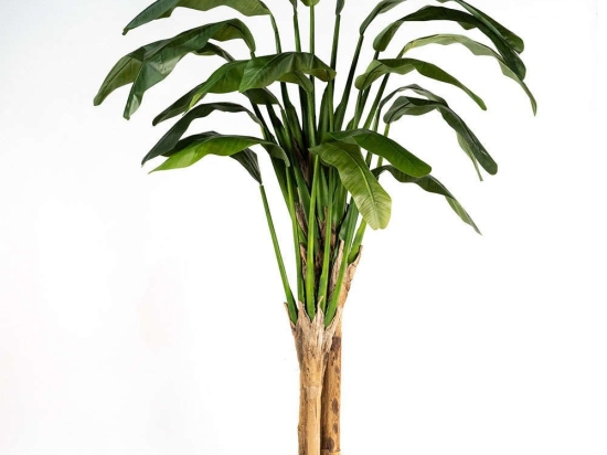 Τεχνητό Δέντρο Μπανανιά 5980-6 120x250cm Green Supergreens Πολυαιθυλένιο