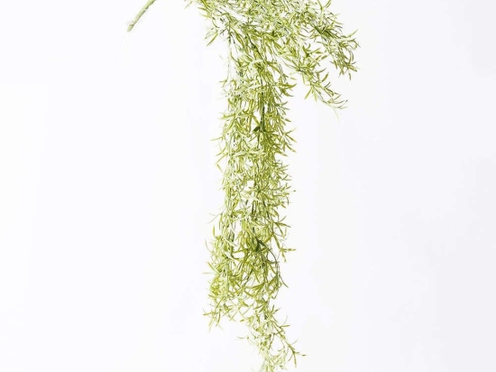 Τεχνητό Κρεμαστό Σπαράγγι 3461-7 15x84cm White-Green Supergreens Πολυαιθυλένιο
