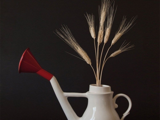 Διακοσμητικό Πορσελάνινο Ποτιστήρι Swan 10067 White Seletti Πορσελάνη