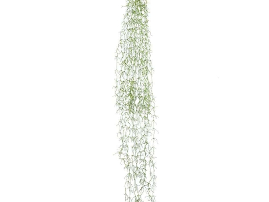Τεχνητό Κρεμαστό Φυτό Tillandsia 20236 15x8x120cm Green GloboStar Πολυαιθυλένιο