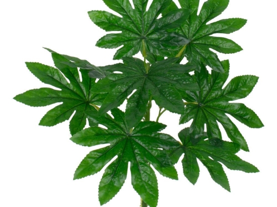 Τεχνητό Κλαδί-Φυτό Fatsia 78283 36cm Green GloboStar Πλαστικό, Ύφασμα