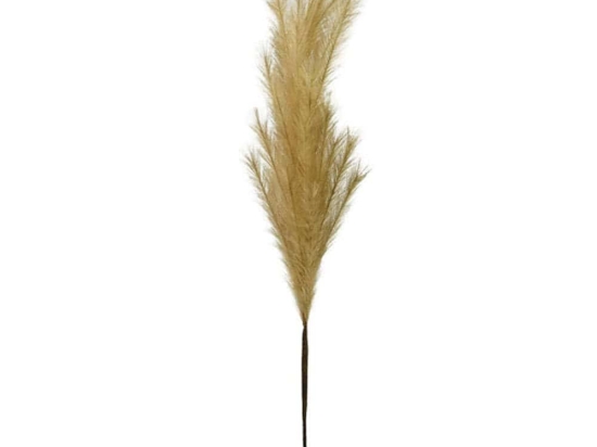 Τεχνητό Φυτό Pampas 00-00-6110-1 117/64cm Natural Marhome Foam