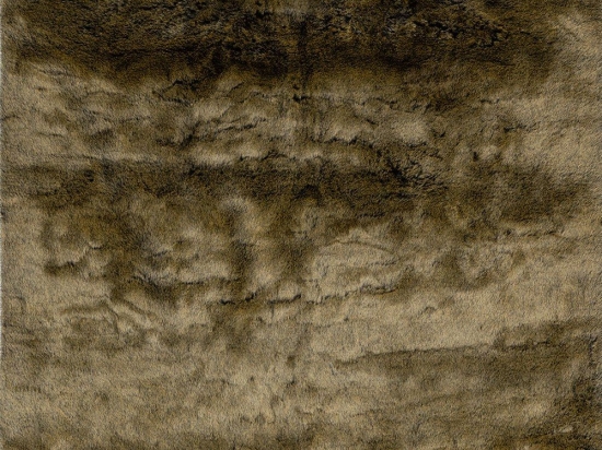 Χαλί Samba Sab 495 Taupe Obsession 120X170cm