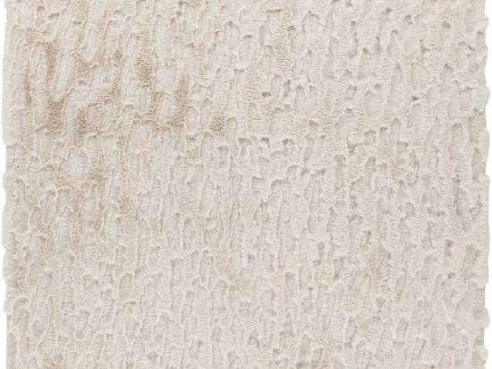 Χαλί Valley 245 Ivory Obsession 200X290cm