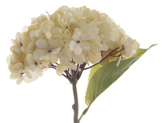 Διακοσμητικό Λουλούδι-Μπουκέτο 3-85-084-0049 Υ35 White Inart Ύφασμα