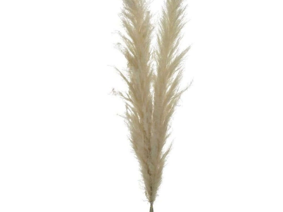 Διακοσμητικό Κλαδί-Φυτό (Σετ 2Τμχ) 3-85-909-0036 150cm Ecru Inart