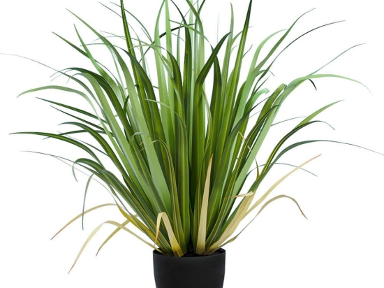 Τεχνητό Φυτό Acorus Gramineus 20103 95x90cm Green-Beige GloboStar PVC