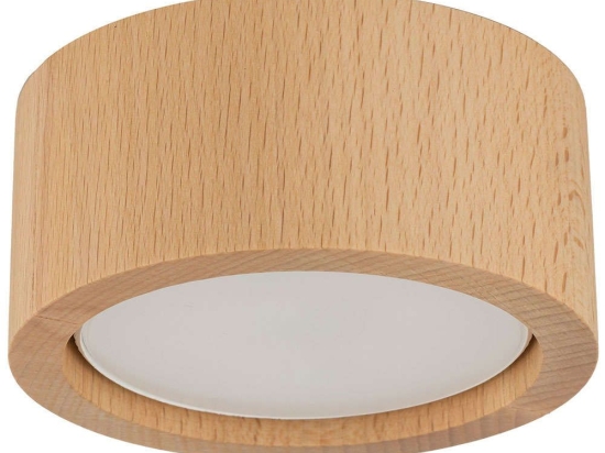 Φωτιστικό Οροφής - Σποτ Eve 10123 Φ9,4x4,3cm 1xGX53 11W Natural TK Lighting