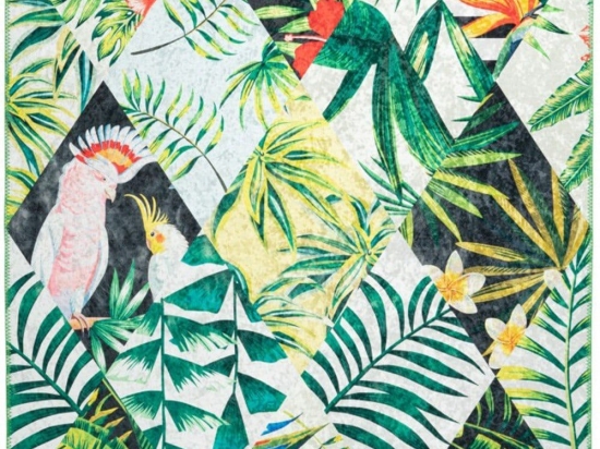 Χαλί Exotic Exo 212 Multi Obsession 160X230cm