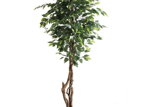 Τεχνητό Δέντρο Φίκος NP5209_180 Ύψος 180cm Green New Plan Πλαστικό, Ύφασμα