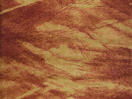 Χαλί Elegance 67012/810 Rust 200X290cm