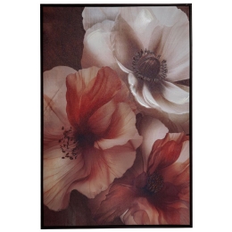 Cream Flowers πίνακας ελαιογραφίας σε τυπωμένο καμβά με θέμα λουλούδια σε wenge κορνίζα 83x123 εκ