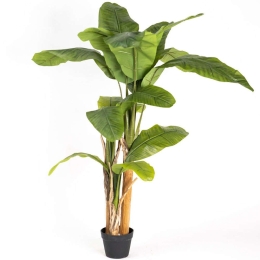 Τεχνητό Δέντρο Μπανανιά 2980-6 100x160cm Green Supergreens Πολυαιθυλένιο