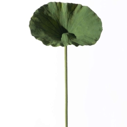 Τεχνητό Κλωνάρι Φαρφούκιο 4851-7 25x70cm Green Supergreens Πολυαιθυλένιο