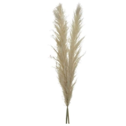 Διακοσμητικό Κλαδί-Φυτό (Σετ 2Τμχ) 3-85-909-0036 150cm Ecru Inart
