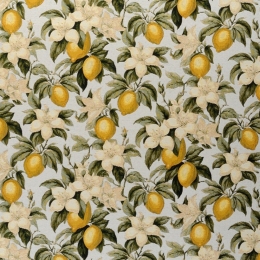 Χαλί Capri 00921-119 Yellow-White Merinos 160X230cm