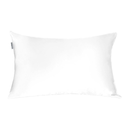 Μαξιλαροθήκη Beauty Sleep Μεταξωτή Ice Feel & Touch 50Χ70 Μετάξι