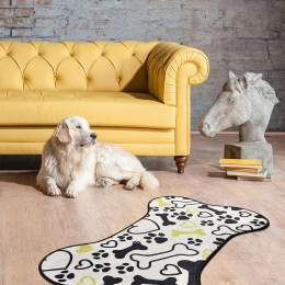 Χαλί Bone Djt 286CHL3845 Multi Conceptum Hypnose 70x120cm