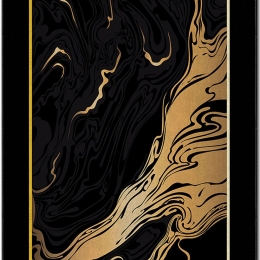 Χαλί Asr Crpt-79 288NGR2016 Black-Gold Conceptum Hypnose 80X140cm