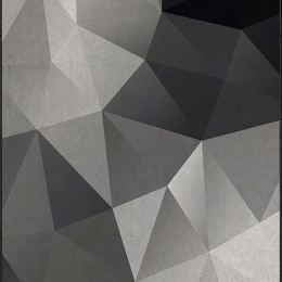 Χαλί Asr Crpt-103 288NGR2185 Black-White Conceptum Hypnose 80X140cm