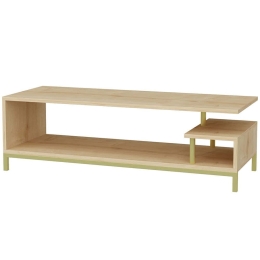 Έπιπλο Tηλεόρασης Reilly 322RTC2235 120x44,6x37,6cm Gold-Oak