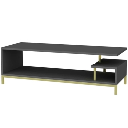 Έπιπλο Tηλεόρασης Reilly 322RTC2236 120x44,6x37,6cm Gold-Anthracite