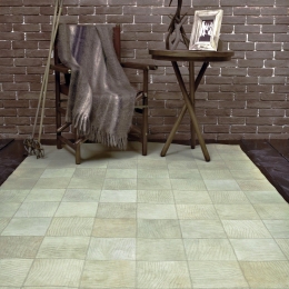 Χαλί Senses Aslanis 369 Beige 190X290cm