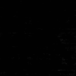 Χαλί Trendy Shiny Black Carpet Couture 200X300cm
