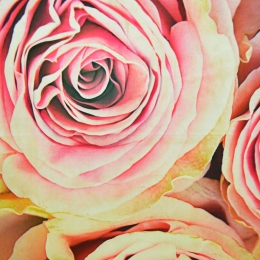 Χαλί Heaven 5408 Pink 200X275cm