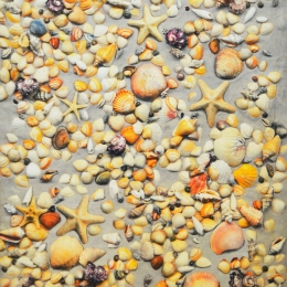 Χαλί Heaven 5403 Beige 200X275cm