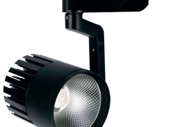 Σποτ Ράγας T00102-BL Φ10x15,5x23cm Led 2500lm 30W 4000K Black Inlight