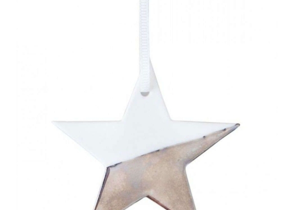 Στολίδι Χριστουγεννιάτικο Star Silver LBTRD0089775 7x6,5cm White-Silver Raeder