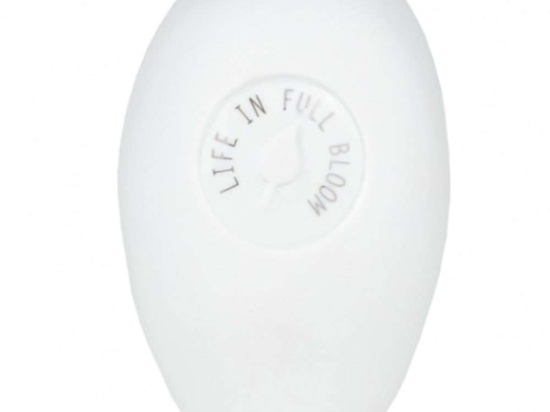 Βάζο Life In Fool Bloom RD0016366 LBTRD0016366 6x5x9cm White Raeder Πορσελάνη