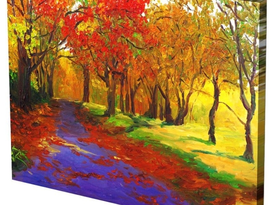 Πίνακας Σε Καμβά MH95 60x80cm Multi Οριζόντιοι Καμβάς