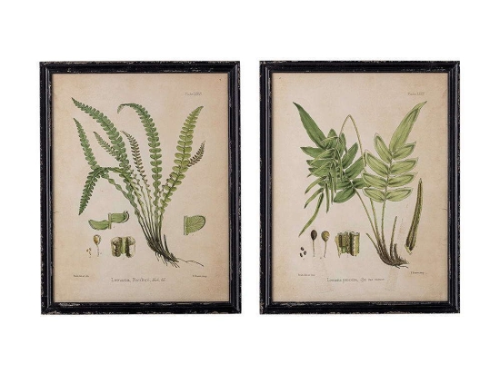 Κάδρο Abeni (Σετ 2Τμχ) 82050095 47x59x2cm Multi Bloomingville Κάθετοι Mdf,Γυαλί