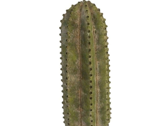 Κάκτος Διακοσμητικός JOE217 11,5x11,5x32cm Green Espiel Τσιμέντο