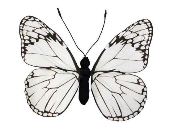 Πεταλούδα Διακοσμητική FTE332K3 80x70x7cm White Espiel Χαρτί