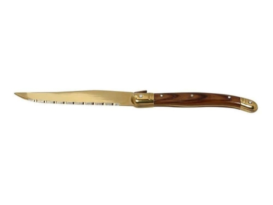 Μαχαίρι Antique Cut SS420 STK105K12 23cm Gold Espiel Ατσάλι,Πλαστικό