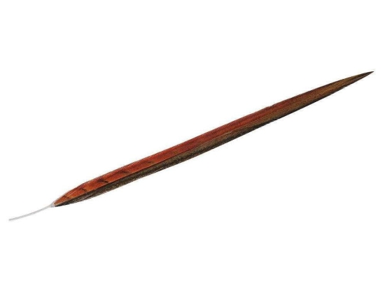 Φτερό Διακοσμητικό FTE116K6 55cm Orange-Brown Espiel Χαρτί