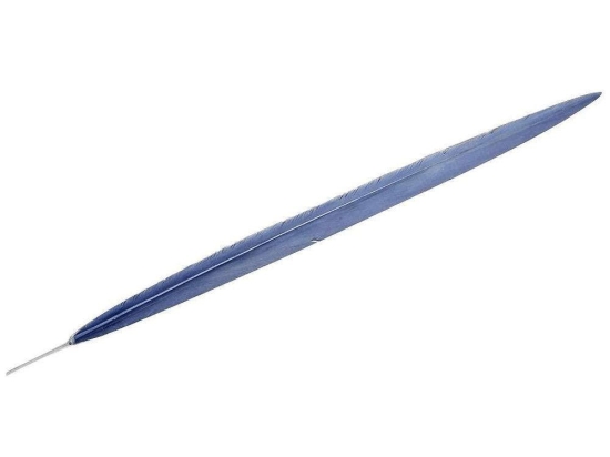 Φτερό Διακοσμητικό FTE124K6 55cm Blue Espiel Χαρτί