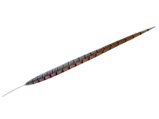 Φτερό Διακοσμητικό FTE133K6 90cm Brown Espiel Χαρτί