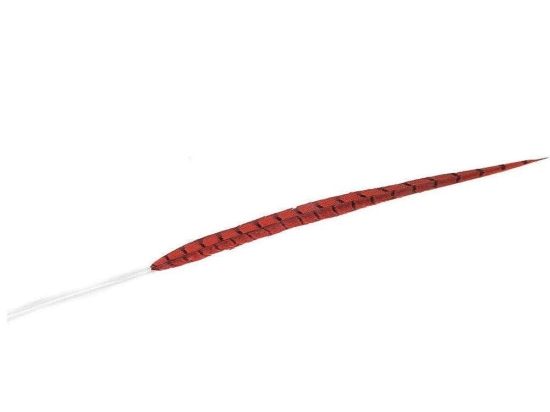 Φτερό Διακοσμητικό FTE219K6 80cm Red Espiel Χαρτί