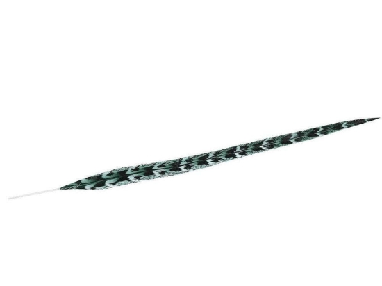 Φτερό Διακοσμητικό FTE225K6 55cm Green-Black Espiel Χαρτί
