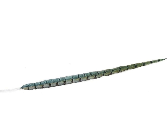 Φτερό Διακοσμητικό FTE231K6 80cm Green-Black Espiel Χαρτί