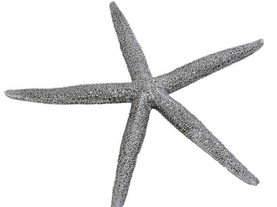 Διακοσμητικό Ζωάκι Αστερίας MT2716K4 20,5x2,5x2,5cm Silver Espiel Πολυρεσίνη