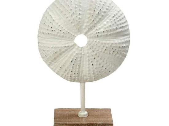 Επιτραπέζιο Διακοσμητικό Αχινός ICY305 25,5x10x38,5cm White Espiel Μέταλλο,Ξύλο